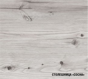 АСАЯ Кухонный гарнитур Экстра 2 (3000 мм) ПМ в Златоусте - zlatoust.ok-mebel.com | фото 8
