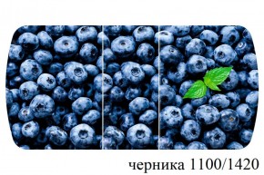 БОСТОН - 3 Стол раздвижной 1100/1420 опоры Триумф в Златоусте - zlatoust.ok-mebel.com | фото 51