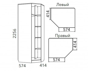 Детская Фанк Шкаф угловой Левый/Правый НМ 013.04-02 М в Златоусте - zlatoust.ok-mebel.com | фото 3