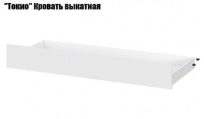 Детская Токио (Вариант-1) в Златоусте - zlatoust.ok-mebel.com | фото 8