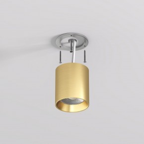 DK2610-SB Накладной светильник SHINE TUBE со светодиодом, D70*H80, IP20, 3000К, 10W, RA?90, сатинированная латунь, алюминий в Златоусте - zlatoust.ok-mebel.com | фото 3