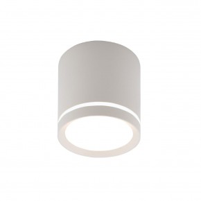 DK4013-WH Светильник накладной IP 20, 5 Вт, LED 4000, белый, алюминий/акрил в Златоусте - zlatoust.ok-mebel.com | фото