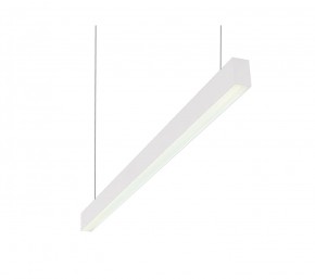 DK9124-WH Линейный светильник 30W 1250mm 4000K, белый в Златоусте - zlatoust.ok-mebel.com | фото