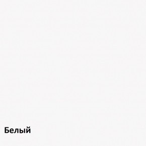 Эйп Шкаф для одежды 13.334 в Златоусте - zlatoust.ok-mebel.com | фото 4