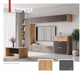 ФЛОРИДА Гостиная (модульная) дуб золотой/графит в Златоусте - zlatoust.ok-mebel.com | фото