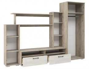 Гостиная Эмма (Дуб Крафт серый/белый) в Златоусте - zlatoust.ok-mebel.com | фото 3