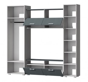 Гостиная Эмми (Анкор светлый/Графит) в Златоусте - zlatoust.ok-mebel.com | фото 3