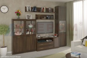 Гостиная Карина Композиция 22 (Акация Молдау) в Златоусте - zlatoust.ok-mebel.com | фото
