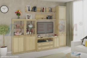 Гостиная Карина Композиция 22 (Ясень Асахи) в Златоусте - zlatoust.ok-mebel.com | фото