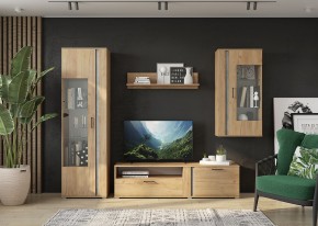 Гостиная Омега (Крафт золотой-Бетон) в Златоусте - zlatoust.ok-mebel.com | фото