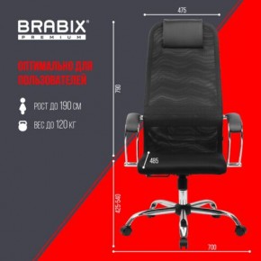 Кресло BRABIX PREMIUM "Ultimate EX-800" хром, плотная двойная сетка Х2, черное, 532911 в Златоусте - zlatoust.ok-mebel.com | фото 6