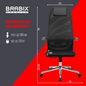 Кресло BRABIX PREMIUM "Ultimate EX-801" хром, плотная двойная сетка Х2, черное, 532917 в Златоусте - zlatoust.ok-mebel.com | фото 7