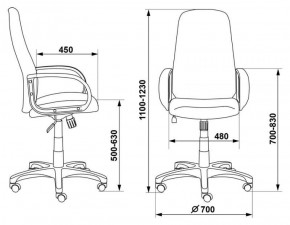 Кресло руководителя Бюрократ CH-808AXSN/G темно-серый 3C1 в Златоусте - zlatoust.ok-mebel.com | фото 3