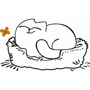 Кровать двухуровневая Кот № 900.1 ЛЕВАЯ (туя светлая/белый) в Златоусте - zlatoust.ok-mebel.com | фото 2