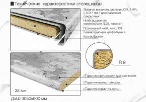 Кухонный фартук со столешницей (А-01) в едином стиле (3050 мм) в Златоусте - zlatoust.ok-mebel.com | фото 6