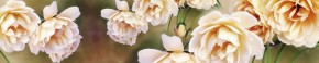 Кухонный фартук Цветы 066 МДФ матовый (3000) Flowers в Златоусте - zlatoust.ok-mebel.com | фото 1
