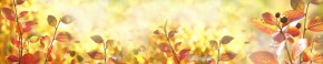 Кухонный фартук Цветы 318 МДФ матовый (3000) Flowers в Златоусте - zlatoust.ok-mebel.com | фото 1