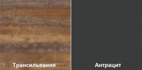 Кухонный гарнитур угловой Трансильвания 2600х1600 мм (Стол. 38 мм) в Златоусте - zlatoust.ok-mebel.com | фото 3