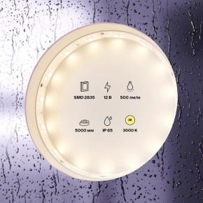 Лента светодиодная Maytoni Led strip 10105 в Златоусте - zlatoust.ok-mebel.com | фото 2