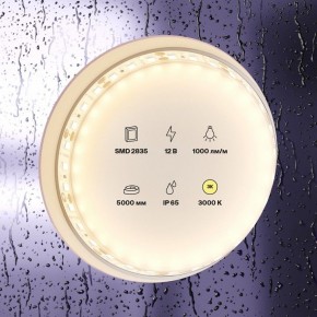 Лента светодиодная Maytoni Led strip 10111 в Златоусте - zlatoust.ok-mebel.com | фото 2