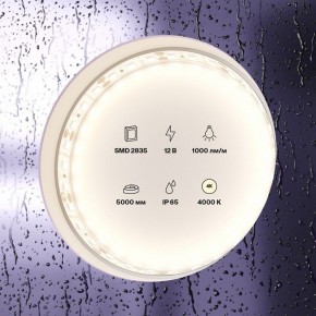 Лента светодиодная Maytoni Led strip 10112 в Златоусте - zlatoust.ok-mebel.com | фото 2