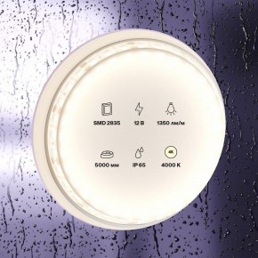 Лента светодиодная Maytoni Led strip 10118 в Златоусте - zlatoust.ok-mebel.com | фото 2