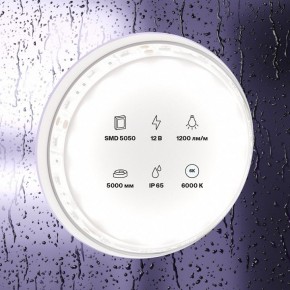 Лента светодиодная Maytoni Led strip 10133 в Златоусте - zlatoust.ok-mebel.com | фото 2