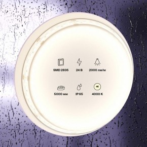 Лента светодиодная Maytoni Led strip 10158 в Златоусте - zlatoust.ok-mebel.com | фото 2