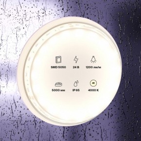 Лента светодиодная Maytoni Led strip 10172 в Златоусте - zlatoust.ok-mebel.com | фото 2