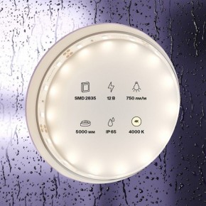 Лента светодиодная Maytoni Led strip 20005 в Златоусте - zlatoust.ok-mebel.com | фото 2