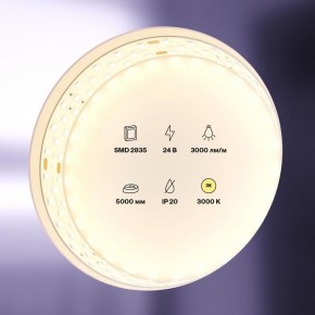 Лента светодиодная Maytoni Led strip 20031 в Златоусте - zlatoust.ok-mebel.com | фото 2