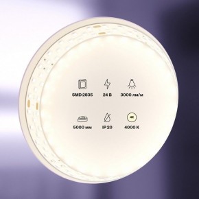 Лента светодиодная Maytoni Led strip 20032 в Златоусте - zlatoust.ok-mebel.com | фото 2