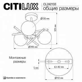 Люстра на штанге Citilux Ronny CL242133 в Златоусте - zlatoust.ok-mebel.com | фото 7