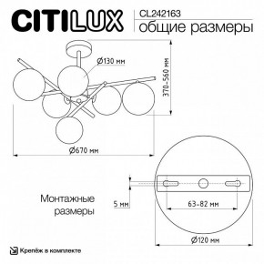 Люстра на штанге Citilux RONNY CL242163 в Златоусте - zlatoust.ok-mebel.com | фото 12