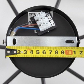 Люстра на штанге Citilux Стивен CL141271 в Златоусте - zlatoust.ok-mebel.com | фото 13