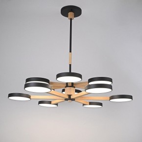 Люстра на штанге Imperiumloft TURNA Black TURNA-DBL01 в Златоусте - zlatoust.ok-mebel.com | фото 2