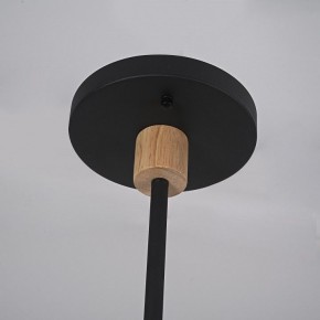 Люстра на штанге Imperiumloft TURNA Black TURNA-DBL01 в Златоусте - zlatoust.ok-mebel.com | фото 9