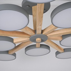 Люстра на штанге Imperiumloft TURNA Gray TURNA-B01 в Златоусте - zlatoust.ok-mebel.com | фото 10