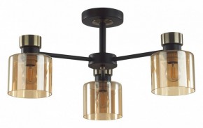 Люстра на штанге Lumion ARLIN 5643/3C в Златоусте - zlatoust.ok-mebel.com | фото