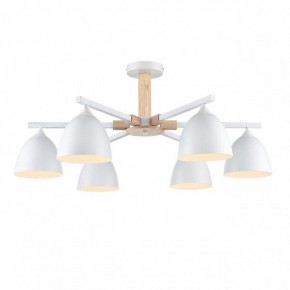 Люстра на штанге Lumion Colange 8095/6C в Златоусте - zlatoust.ok-mebel.com | фото 2