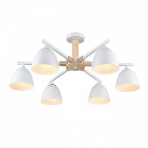 Люстра на штанге Lumion Colange 8095/6C в Златоусте - zlatoust.ok-mebel.com | фото 3
