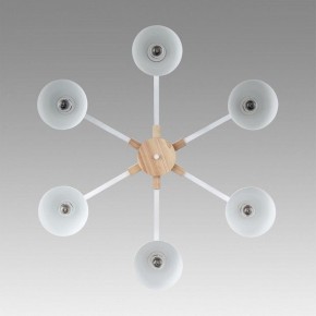Люстра на штанге Lumion Colange 8095/6C в Златоусте - zlatoust.ok-mebel.com | фото 4