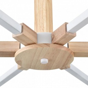 Люстра на штанге Lumion Colange 8095/6C в Златоусте - zlatoust.ok-mebel.com | фото 7