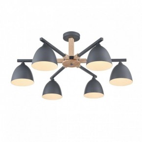 Люстра на штанге Lumion Colange 8096/6C в Златоусте - zlatoust.ok-mebel.com | фото 3