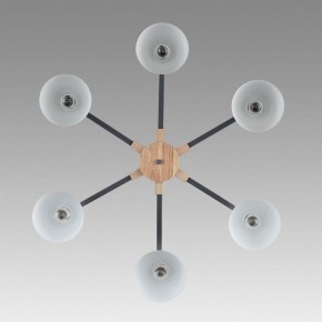 Люстра на штанге Lumion Colange 8096/6C в Златоусте - zlatoust.ok-mebel.com | фото 4