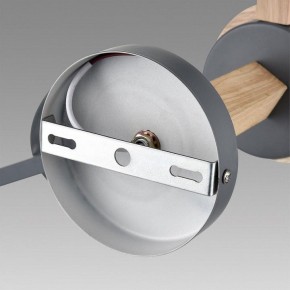 Люстра на штанге Lumion Colange 8096/6C в Златоусте - zlatoust.ok-mebel.com | фото 6