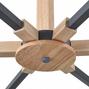 Люстра на штанге Lumion Colange 8096/6C в Златоусте - zlatoust.ok-mebel.com | фото 7