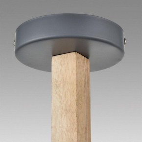 Люстра на штанге Lumion Colange 8096/6C в Златоусте - zlatoust.ok-mebel.com | фото 9
