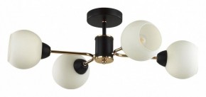 Люстра на штанге Lumion KODI 5646/4C в Златоусте - zlatoust.ok-mebel.com | фото
