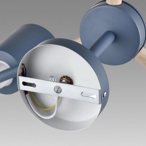 Люстра на штанге Lumion Rosalina 8098/6C в Златоусте - zlatoust.ok-mebel.com | фото 6